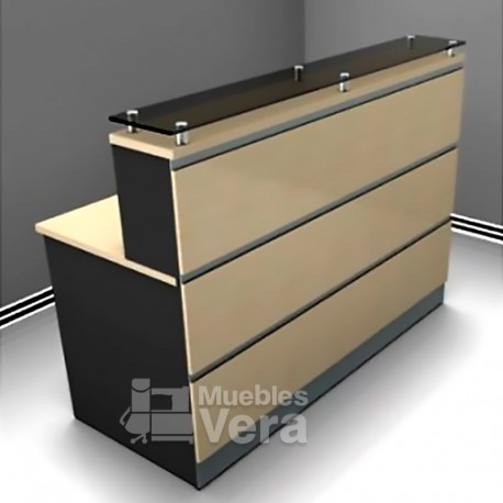 MODULO DE RECEPCION VERACRUZ